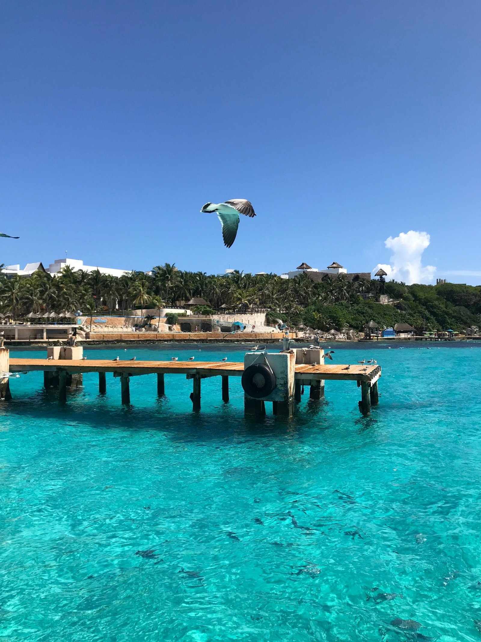 Isla Mujeres coastline near Cancun, Mexico